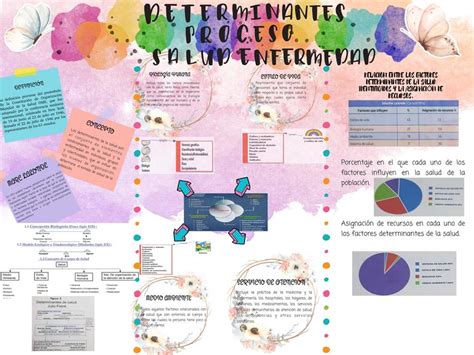 Determinantes Proceso Salud Enfermedad Proceso Salud Enfermedad Porn