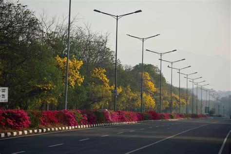 difference  street  avenue  thoroughfare tale