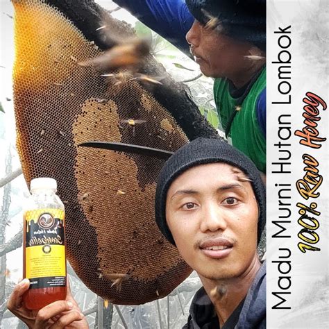 Jual Madu Asli Murni Madu Hutan Liar 100 Raw Honey 500ml Madu