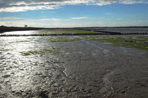 West Mersea Beach A Most Wonderful Place In Essex