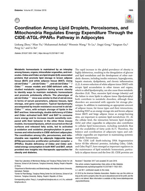 Pdf Coordination Among Lipid Droplets Peroxisomes And Mitochondria