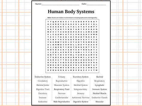 Human Body Systems Word Search Puzzle Worksheet Activity Teaching