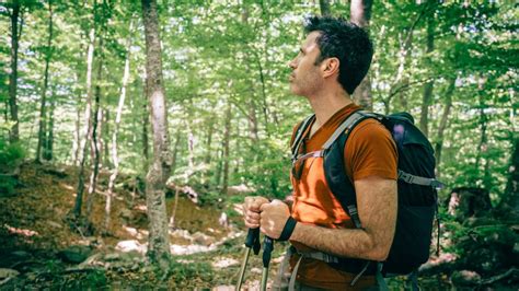 Ecoturismo No Brasil Destinos Incr Veis Para Os Amantes Da Natureza