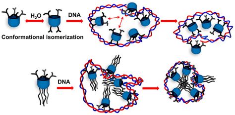 Ijms Special Issue Advances In Multi Tasked Macromolecules