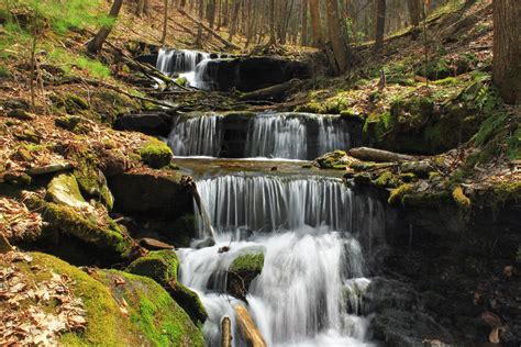 Image libre cascade eau ruisseau forêt moss écologie rivière