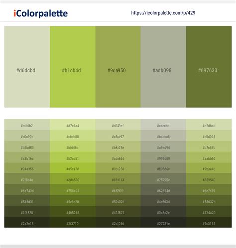 1 Latest Color Schemes with Turmeric And Bud Color tone combinations ...