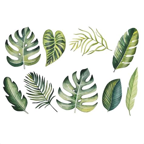 Premium Vector Watercolor Set Of Bright Tropical Leaves