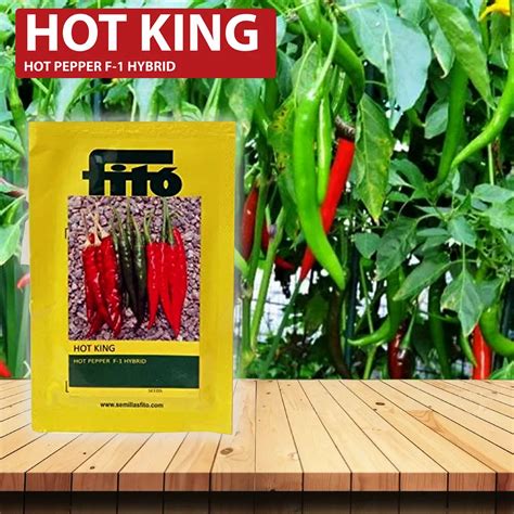 FITO Hot King Chilli Seeds 2500 SEEDS At Rs 589 00 Chilli Seed ID 2852866793388