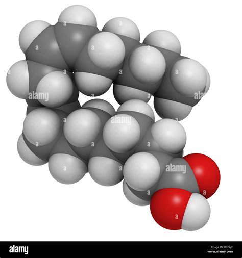 Omega 6 Unsaturated Fatty Acid Linoleic Acid LA Molecular Model