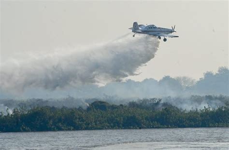 Incêndios no Pantanal Mato Grosso do Sul decreta situação de