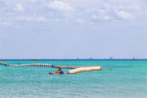 Playa del Carmen Quintana Roo Mexico 30. February 2021 Seaweed Sargazo ...