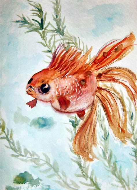 watercolor fish by Julie Randall | Watercolor fish, Art, Artwork