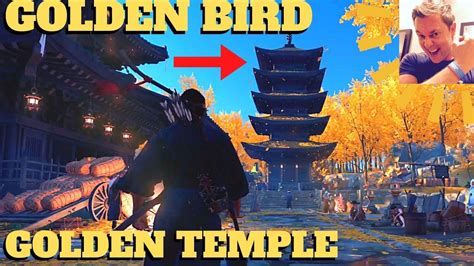 Ghost Of Tsushima Golden Yellow Bird At Golden Temple Warrior S