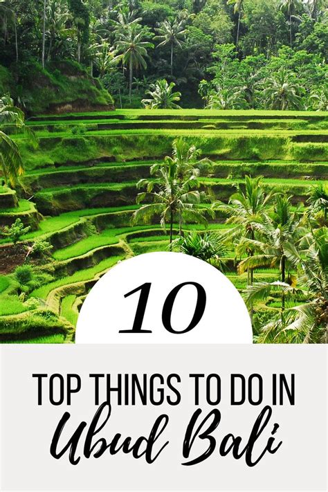 The Top Things To Do In Ubud Bali