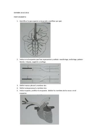 Examen Julio Parte Roberto Pdf