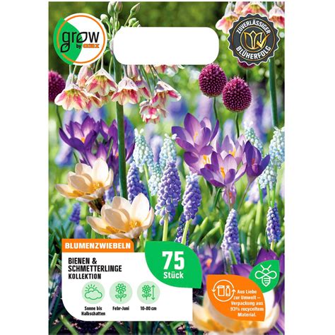 GROW by OBI Bienen und Schmetterlinge Kollektion Mischung 75 Stück