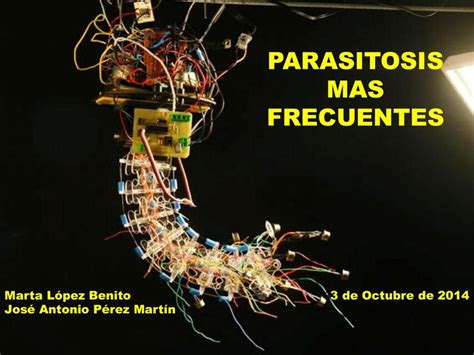 Parasitosis M S Frecuentes Sergio Prieto Udocz