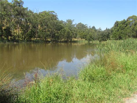 Tracks Trails And Coasts Near Melbourne Birdsland Reserve And