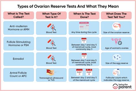 Ovarian Reserve Test For Infertility How It Helps Measure Your