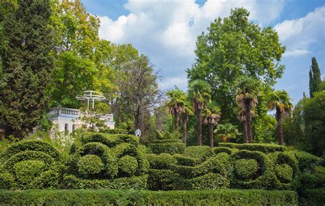 Premium Photo | Beautiful garden with hedges