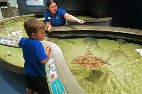 National Aquarium in Baltimore in Baltimore, Maryland - Kid-friendly Attractions | Trekaroo