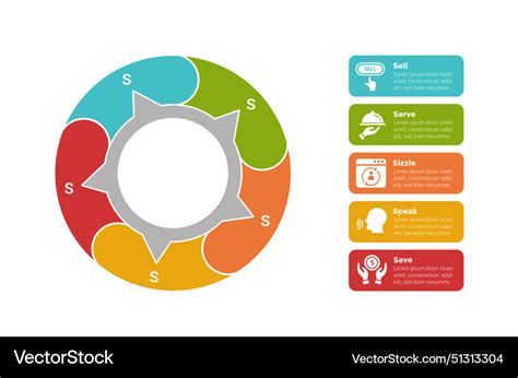 5s model marketing infographics template diagram Vector Image