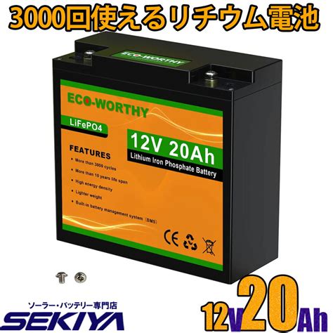 リン酸鉄リチウム電池 12v 20ah 256wh Ecoworthy株式会社関谷 宮崎県ものづくり大賞受賞 長寿命バッテリー専門店 Sekiya