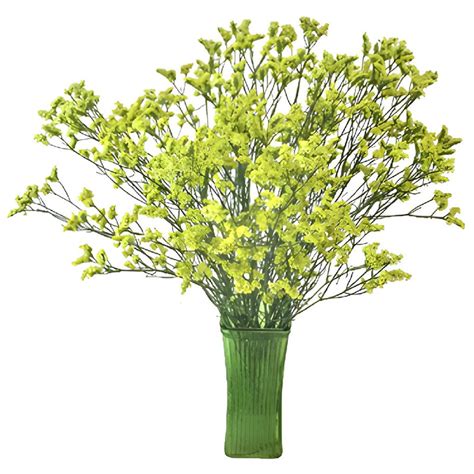 Buy Wholesale Lemon Lime Airbrushed Limonium Flowers In Bulk Fift