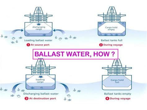 Ppt Ballast Water Management Powerpoint Presentation Id3607079