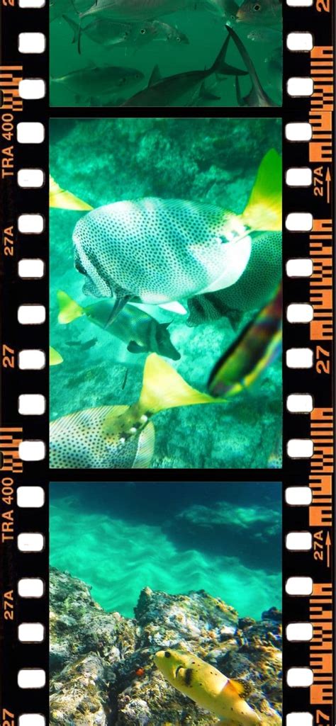 Web Story Snorkeling in Cabo San Lucas 1 - 2TravelDads