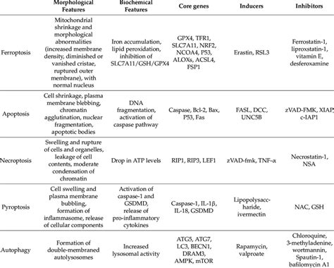 Comparison: features of different forms of RCD. | Download Scientific ...