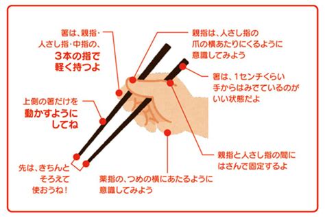 焦らずゆっくりと！ 親子で楽しくお箸の使い方を学ぼう｜おいしい和食のはなし。