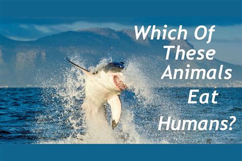 Which Of These Animals Eat Humans?