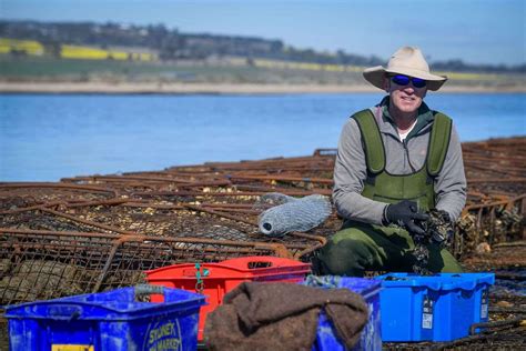 Project combating coastal erosion wins state award | Mirage News