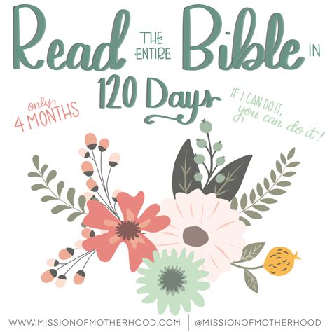 You Can Read The Entire Bible In Days Mission Of Motherhood