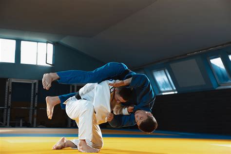 Principais Golpes Jiu Jitsu Revoeduca