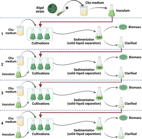 Process Flowchart Of Microalgae Culture Recycling Steps 1 Standard