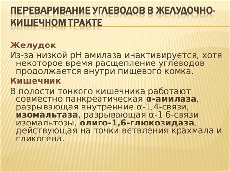 Обмен углеводов. Углеводы как химические соединения. Функции углеводов ...