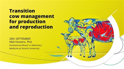 Transition Cow Management For Production And Reproduction Youtube