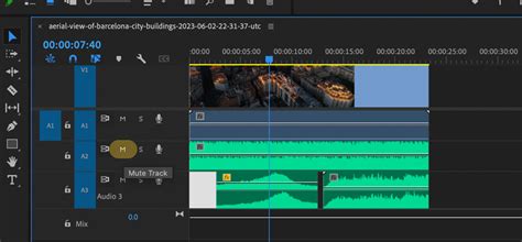 Como Silenciar Clipes Rapidamente No Premiere Proreviltec Reviltec
