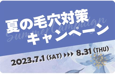 2023年7月・8月のキャンペーン 葉舞 （はぁぶ）