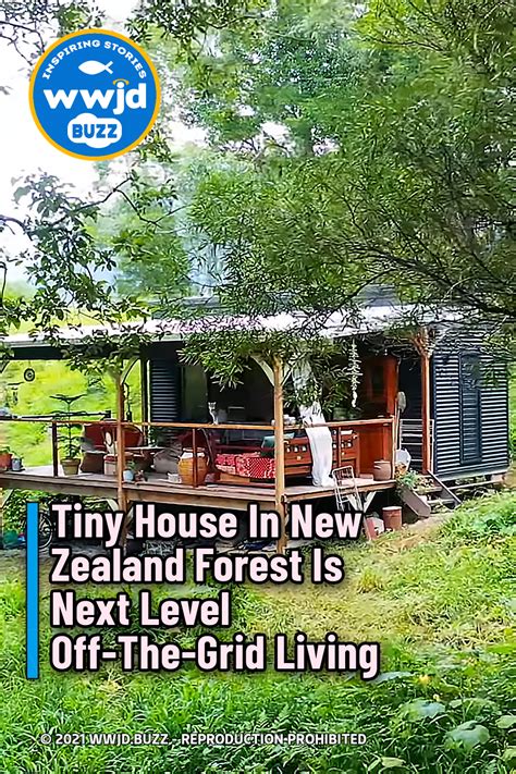 Tiny House In New Zealand Forest Is Next Level Off The Grid Living WWJD