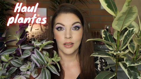 Haul Plantes Je me lance dans les plantes d intérieur YouTube