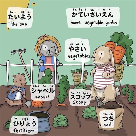 Learn Japanese Through Pictures - Part 2 