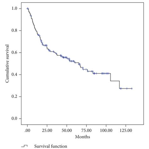 Estimated Overall Survival Divided By Stage Download Scientific Diagram