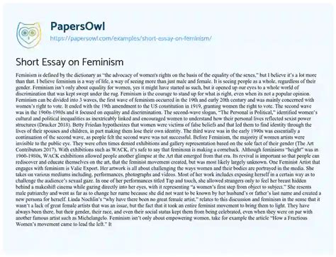 Short Essay On Feminism Free Essay Example 745 Words