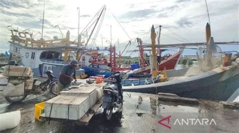 Hasil Tangkapan Ikan Nelayan Di Aceh Timur Menurun Gegara Cuaca Buruk