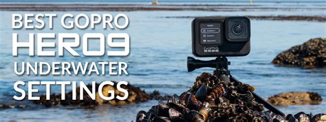 Gopro Hero Best Underwater Photography Settings Underwater