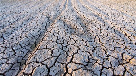 Inundaciones Y Sequías El Fenómeno De El Niño Podría Prolongar La