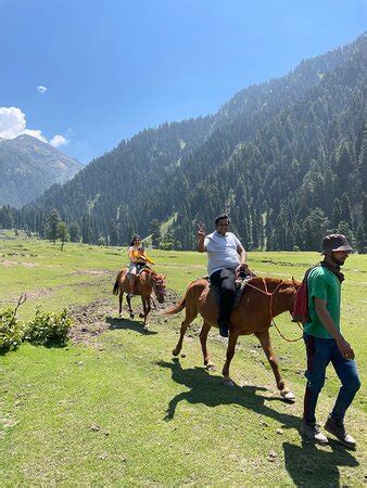 The Woodswalk Treks And Tours Pahalgam All You Need To Know Before